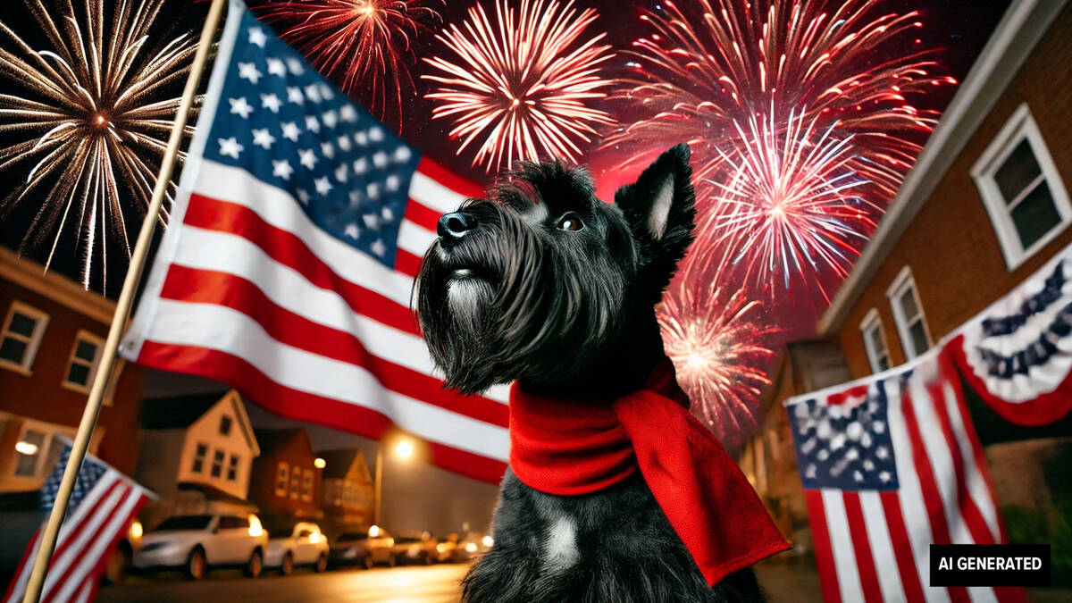 AI generated image of scotty with an American flag and fireworks.